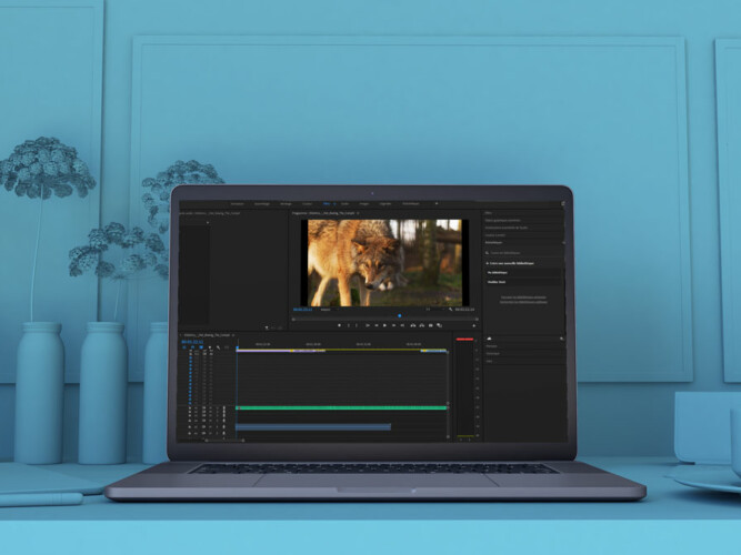 Mockup Video Premiere pro